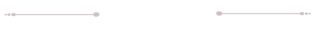 zhanshitbg.png